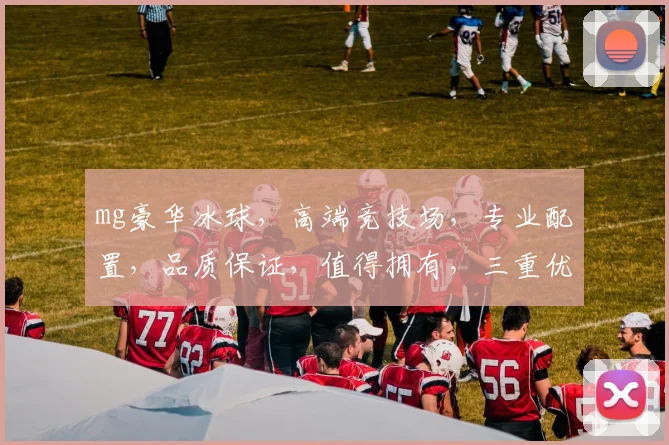 mg豪华冰球，高端竞技场，专业配置，品质保证，值得拥有，三重优势，不容错过