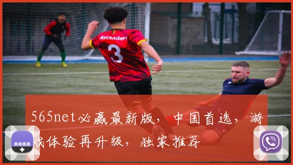 565net必赢最新版，中国首选，游戏体验再升级，独家推荐