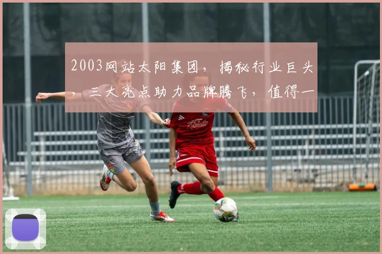 2003网站太阳集团，揭秘行业巨头，三大亮点助力品牌腾飞，值得一看
