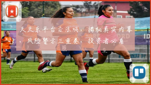 天天乐平台合法吗，揭秘真实内幕，风险警示三重奏，投资者必看