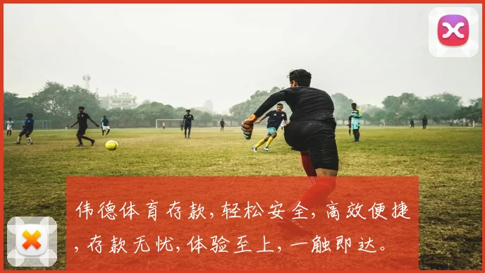 伟德体育存款,轻松安全,高效便捷,存款无忧,体验至上,一触即达。